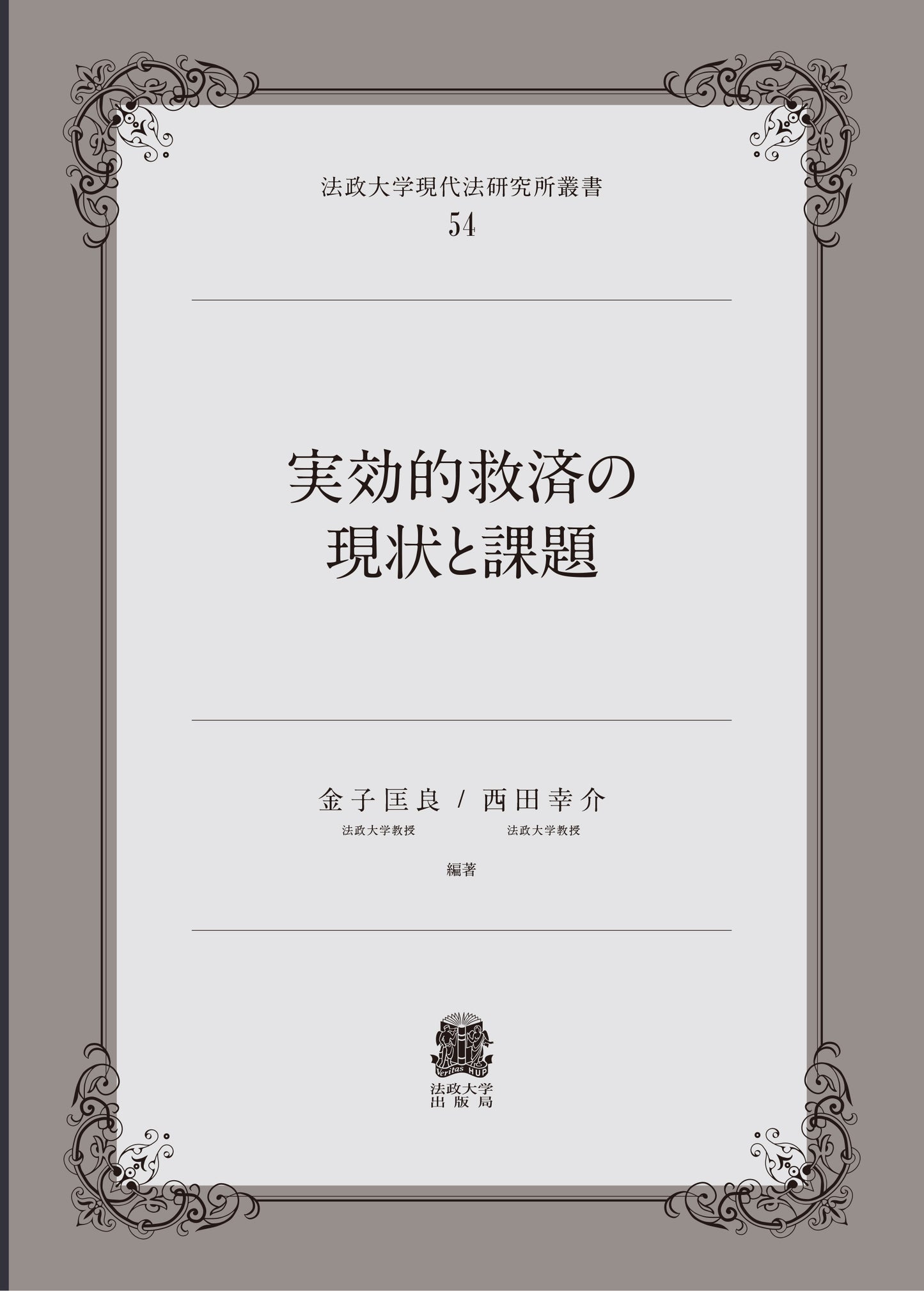実効的救済の現状と課題
