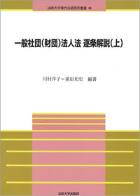 一般社団（財団）法人法　逐条解説（上）
